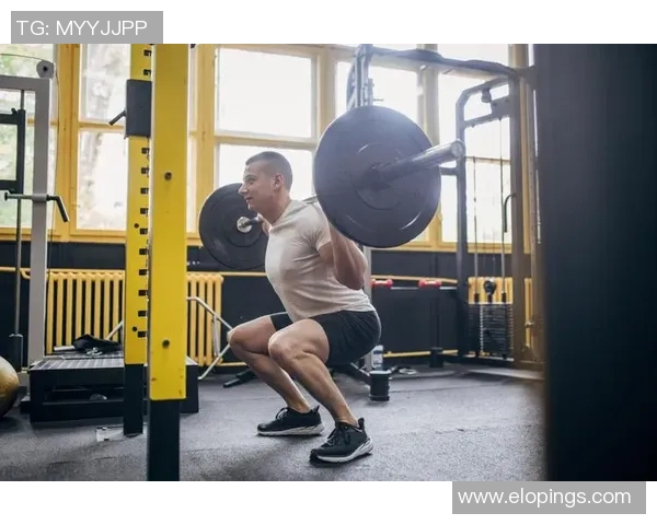 369完美拉扯技巧揭秘助你轻松掌握高效训练方法与效果提升秘诀